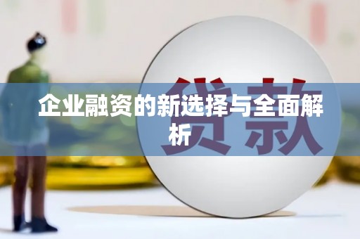 坪林企业融资的新选择与全面解析
