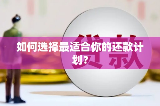 坪林如何选择最适合你的还款计划？