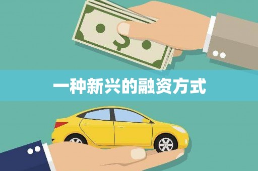坪林一种新兴的融资方式