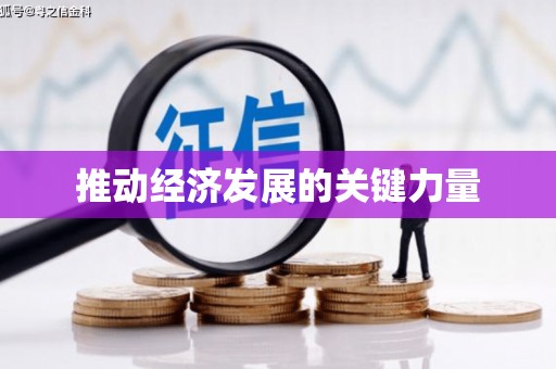 坪林推动经济发展的关键力量