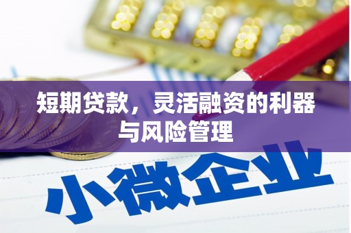 坪林短期贷款，灵活融资的利器与风险管理