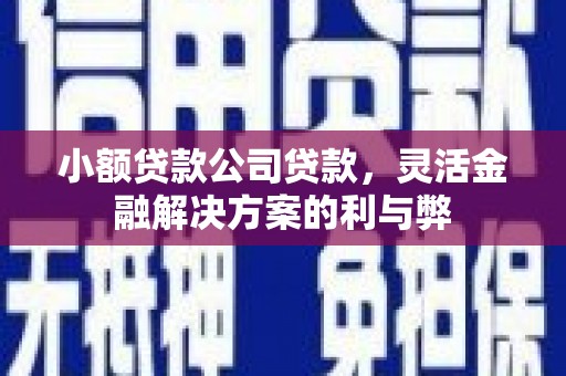坪林小额贷款公司贷款，灵活金融解决方案的利与弊