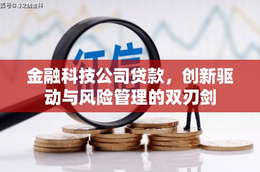 坪林金融科技公司贷款，创新驱动与风险管理的双刃剑
