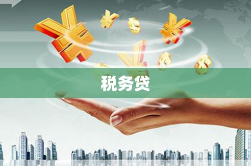 坪林税务贷